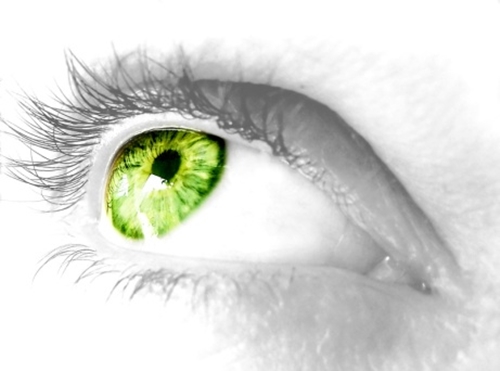 visualize