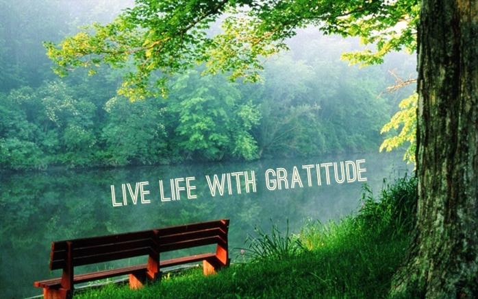 gratitude